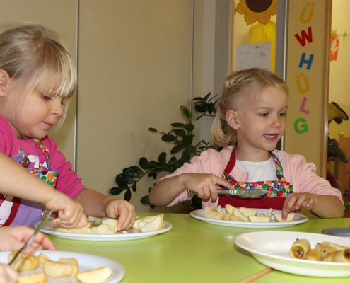 Apfelkuchen Langenauer Spatzen 432